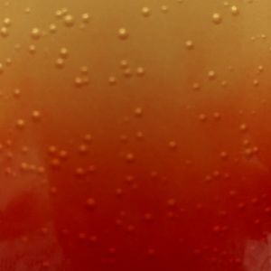 Meet your Posher, Jose